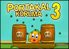 Portakal Koruma 3