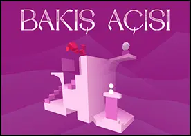 Bakış Açısı