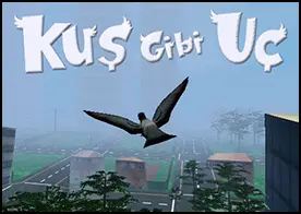 Kuş Gibi Uç